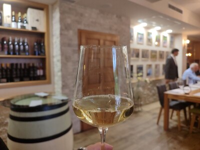 "Dani otvorenih podruma" u Čitluku i Čapljini