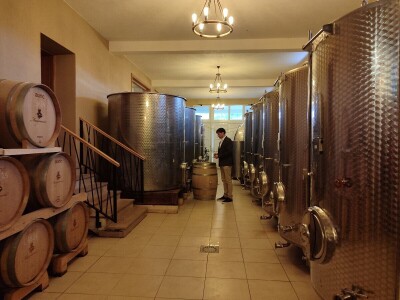 "Dani otvorenih podruma" u Čitluku i Čapljini