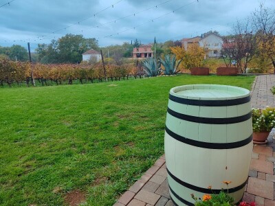 "Dani otvorenih podruma" u Čitluku i Čapljini