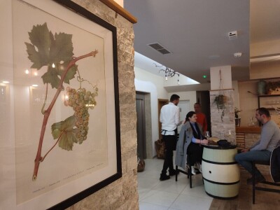 "Dani otvorenih podruma" u Čitluku i Čapljini