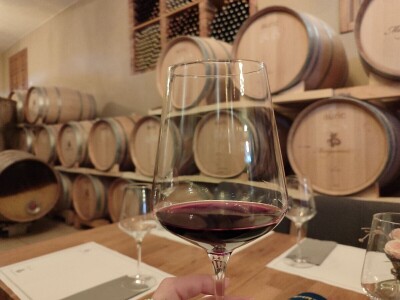 "Dani otvorenih podruma" u Čitluku i Čapljini