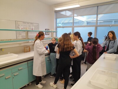 Dani otvorenih vrata