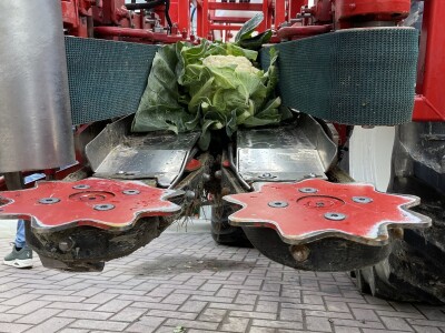 Dani otvorenih vrata tvrtke Hazera