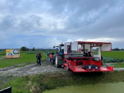 Dani otvorenih vrata tvrtke Hazera