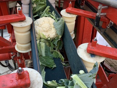 Dani otvorenih vrata tvrtke Hazera