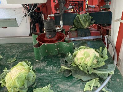 Dani otvorenih vrata tvrtke Hazera