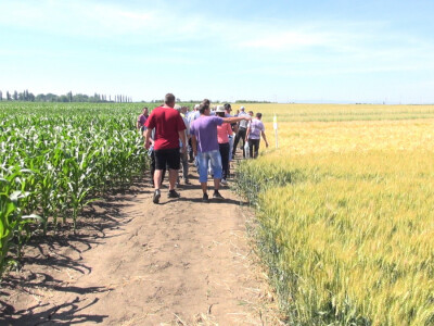 Dan polja, Zainteresovani poljoprivrednici