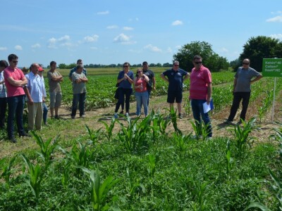 Dani polja BASF Croatia