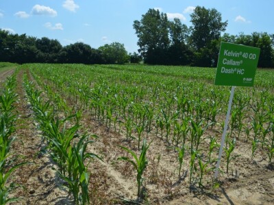 Dani polja BASF Croatia