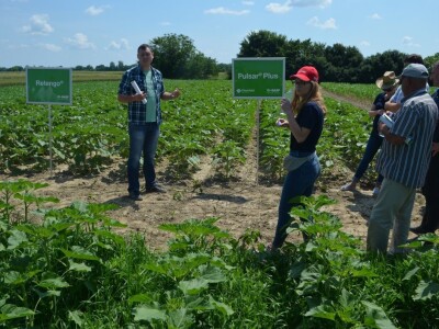 Dani polja BASF Croatia