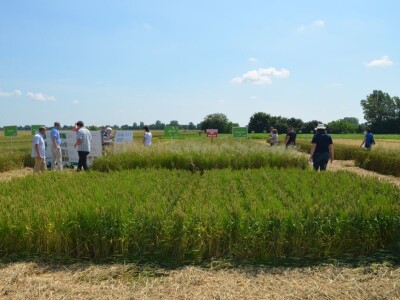 Dani polja BASF Croatia