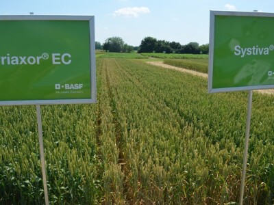 Dani polja BASF Croatia