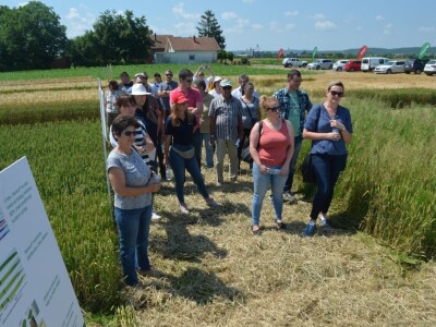 Dani polja BASF Croatia