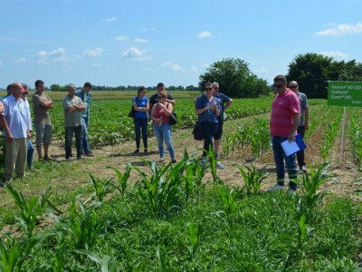 Dani polja BASF Croatia