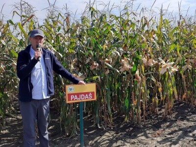 Dani polja BC hibrida kukuruza i soje