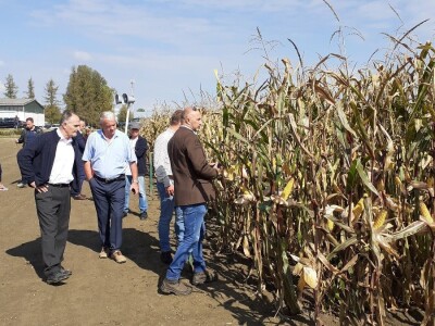 Dani polja BC hibrida kukuruza i soje