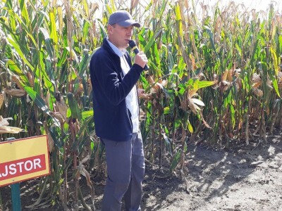 Dani polja BC hibrida kukuruza i soje