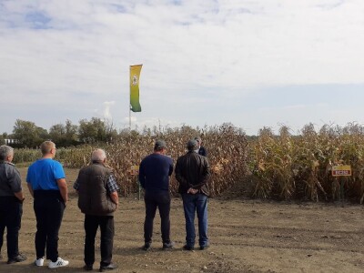 Dani polja BC hibrida kukuruza i soje