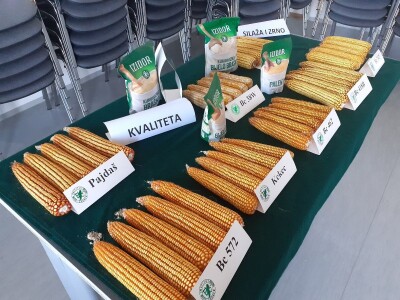 Dani polja Bc instituta