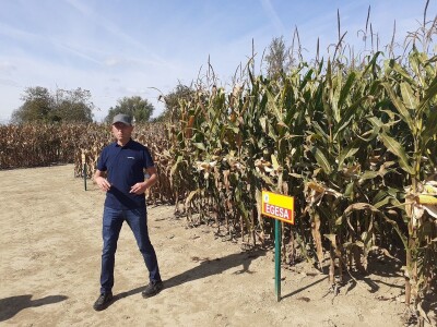 Dani polja Bc instituta