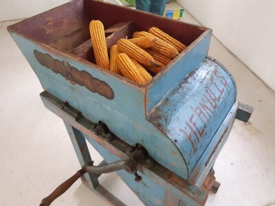 Dani polja Bc instituta