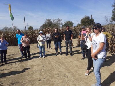 Dani polja Bc instituta