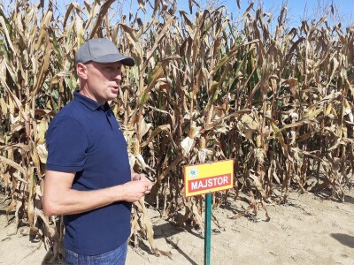 Dani polja Bc instituta