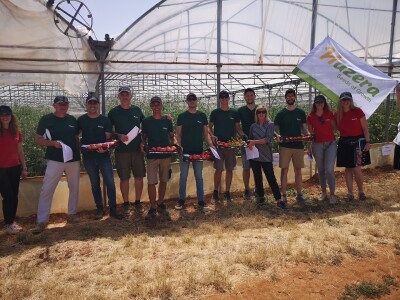 Dani polja Colić Trade-a i Hazere