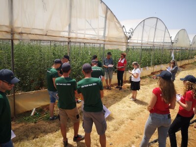 Dani polja Colić Trade-a i Hazere