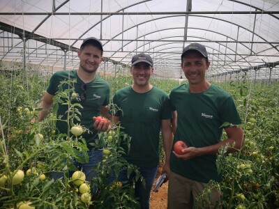 Dani polja Colić Trade-a i Hazere