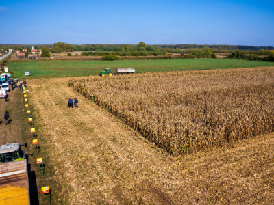 Dani polja hibrida kukuruza Bc Instituta d.d. Zagreb