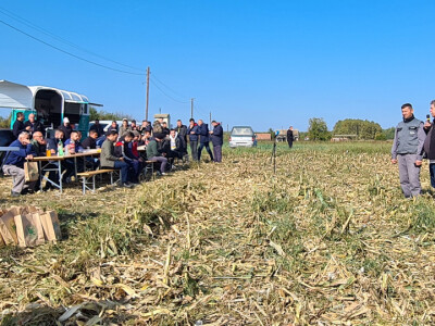 Dani polja hibrida kukuruza Bc Instituta d.d. Zagreb