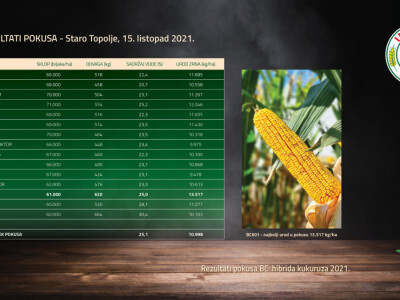 Dani polja hibrida kukuruza Bc Instituta d.d. Zagreb