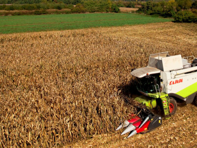 Dani polja hibrida kukuruza Bc Instituta d.d. Zagreb