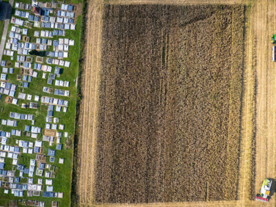 Dani polja hibrida kukuruza Bc Instituta d.d. Zagreb
