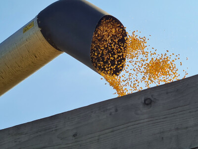 Dani polja hibrida kukuruza Bc Instituta d.d. Zagreb