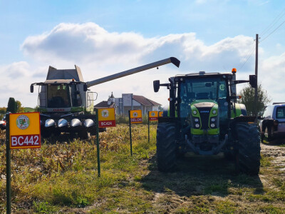 Dani polja hibrida kukuruza Bc Instituta d.d. Zagreb