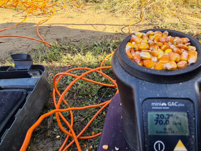 Dani polja hibrida kukuruza Bc Instituta d.d. Zagreb