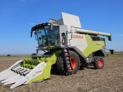 Dani polja kukuruza FAZOS 2024 - Komparativni pokusi