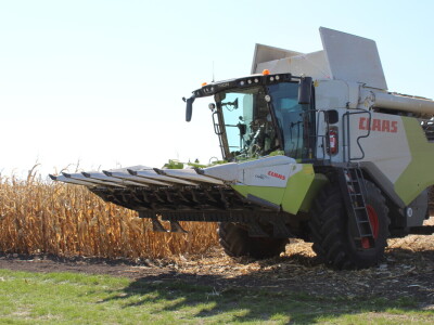 Dani polja kukuruza FAZOS 2024 - Komparativni pokusi