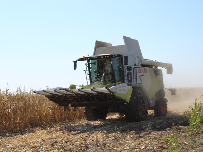 Dani polja kukuruza FAZOS 2024 - Komparativni pokusi