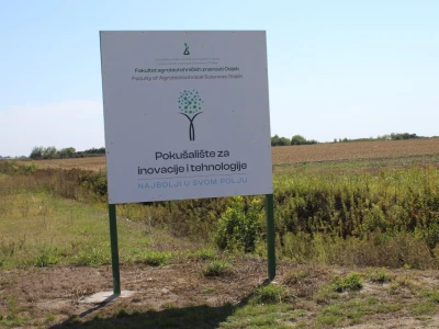 Dani polja kukuruza FAZOS 2024 - Komparativni pokusi