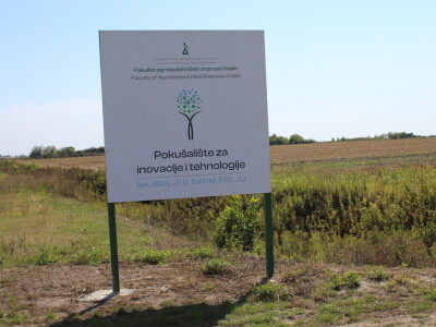 Dani polja kukuruza FAZOS 2024 - Komparativni pokusi