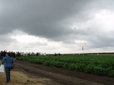 Dani polja održive proizvodnje soje Dani polja održive proizvodnje soje