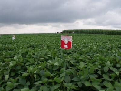 Dani polja održive proizvodnje soje Dani polja održive proizvodnje soje