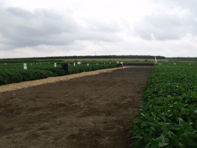 Dani polja održive proizvodnje soje Dani polja održive proizvodnje soje