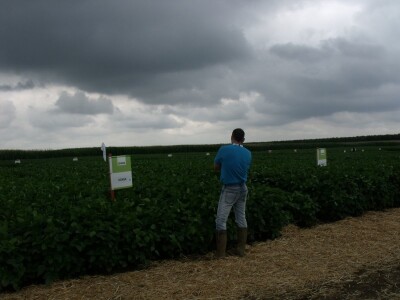 Dani polja održive proizvodnje soje Dani polja održive proizvodnje soje