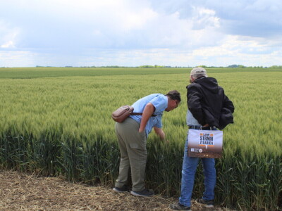 Dani polja pšenice i ječma Poljoprivrednog instituta Osijek 2025.