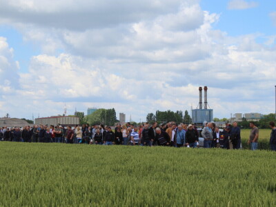 Dani polja pšenice i ječma Poljoprivrednog instituta Osijek 2025.