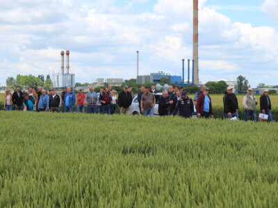 Dani polja pšenice i ječma Poljoprivrednog instituta Osijek 2025.